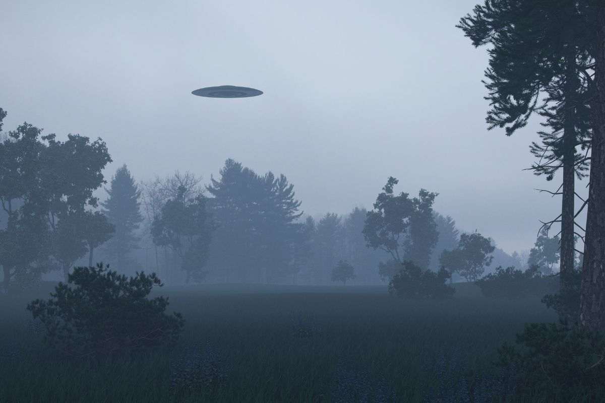 Avvistamenti ufo: cosa c'è di vero?